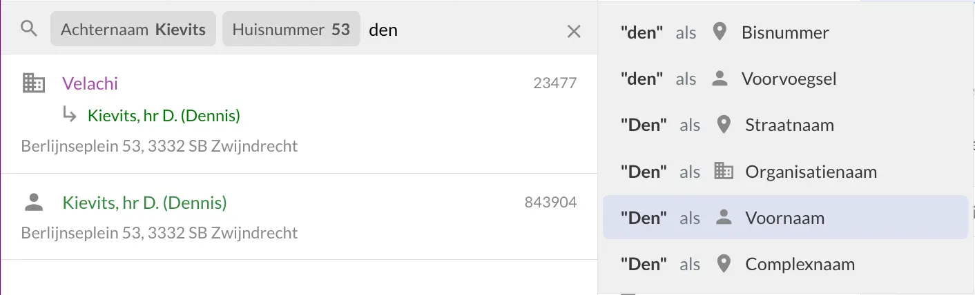 Intelligent customer search interface with field type suggestions